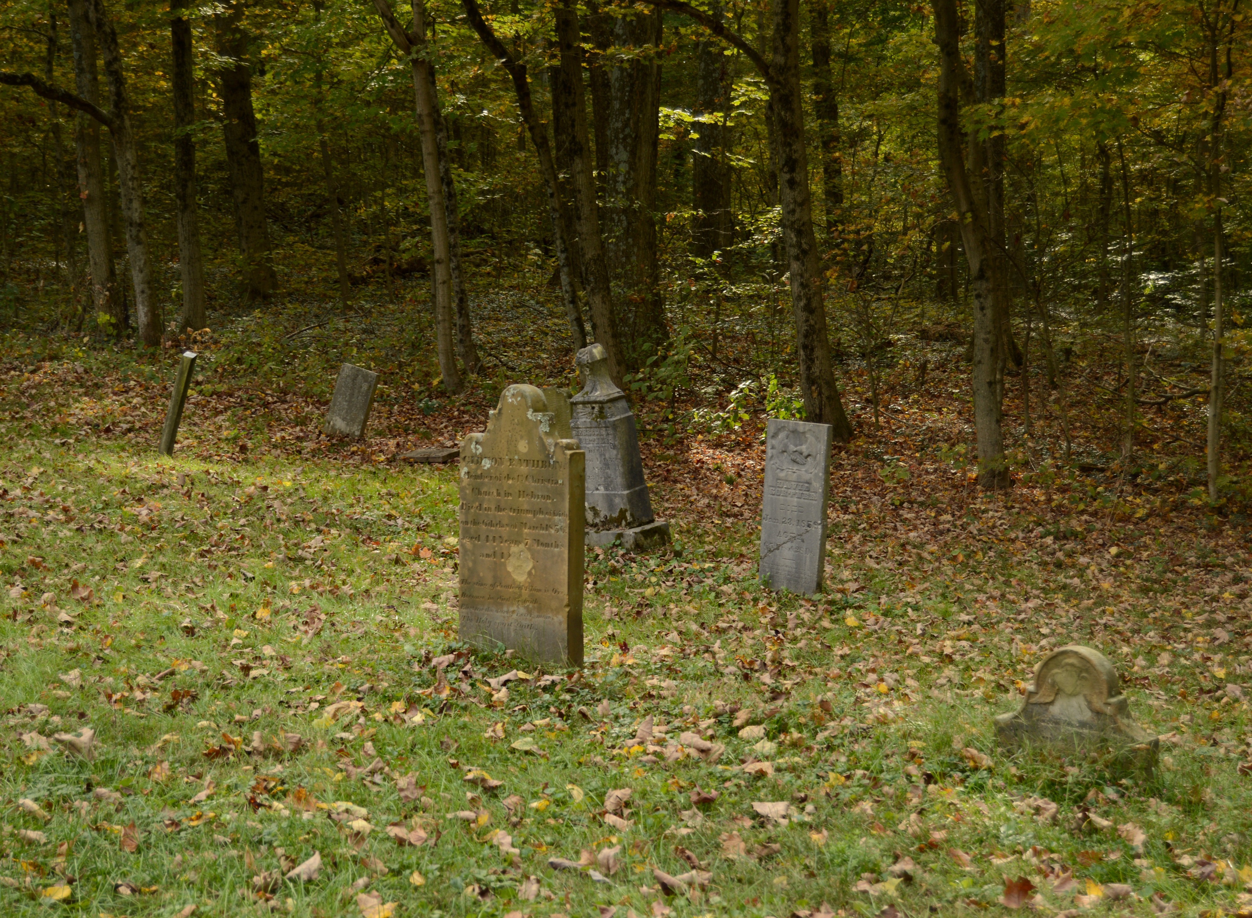 This is how we die